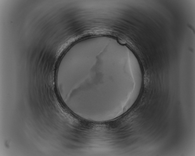 X0000101220438200807181555