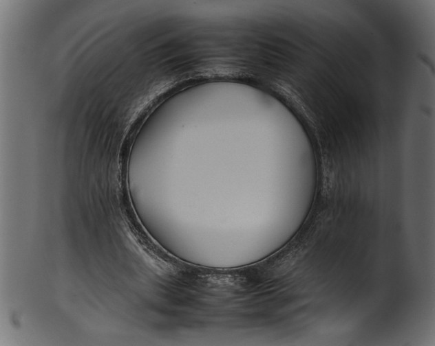 X0000101220439200807181555