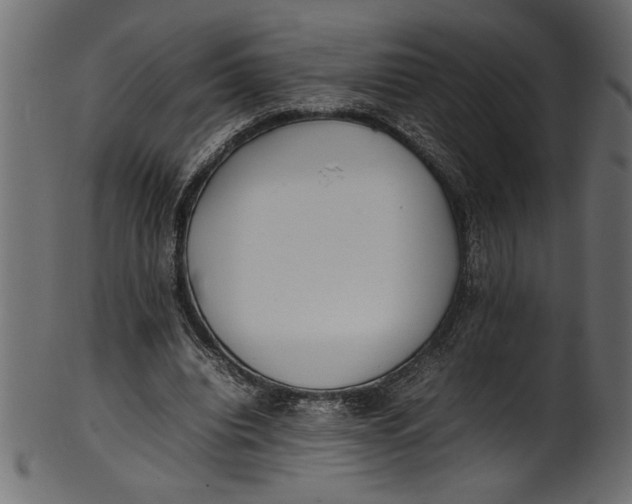 X0000101220440200807181555