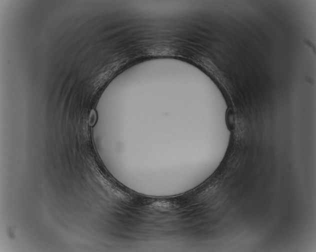 X0000101220441200807181555