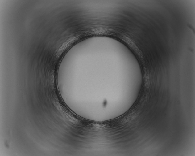 X0000101220442200807181555
