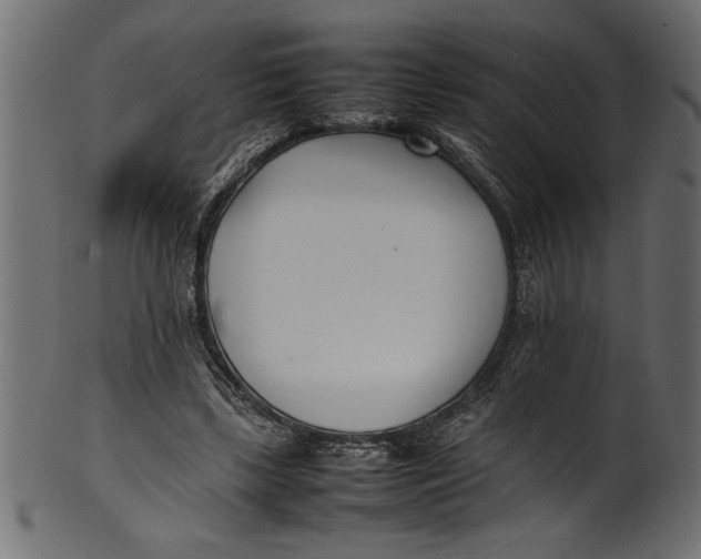 X0000101220443200807181555