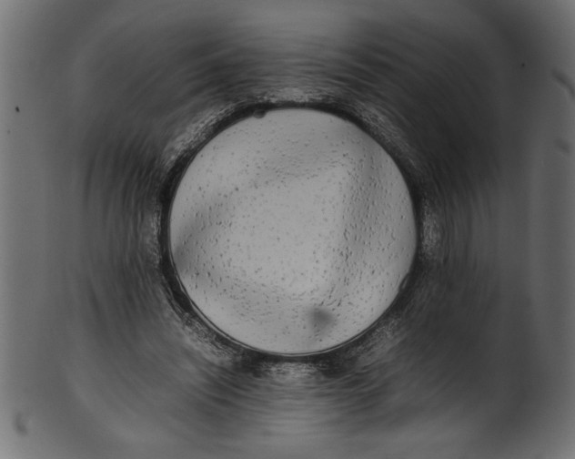 X0000101220444200807181555