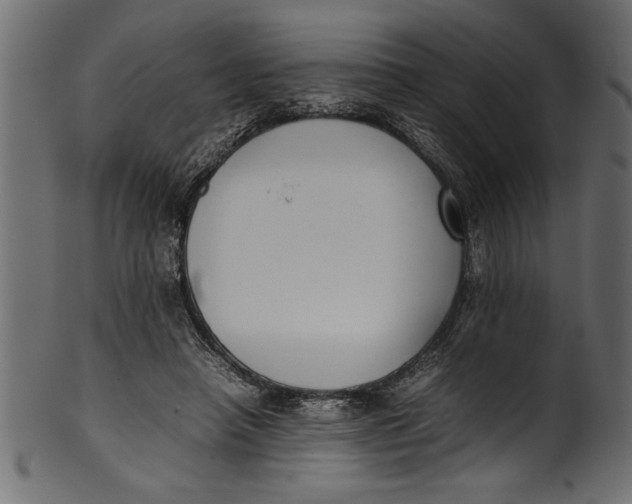 X0000101220450200807181555