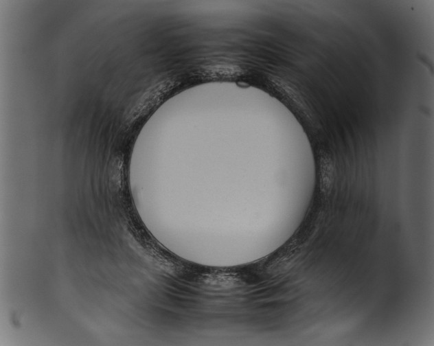 X0000101220451200807181555