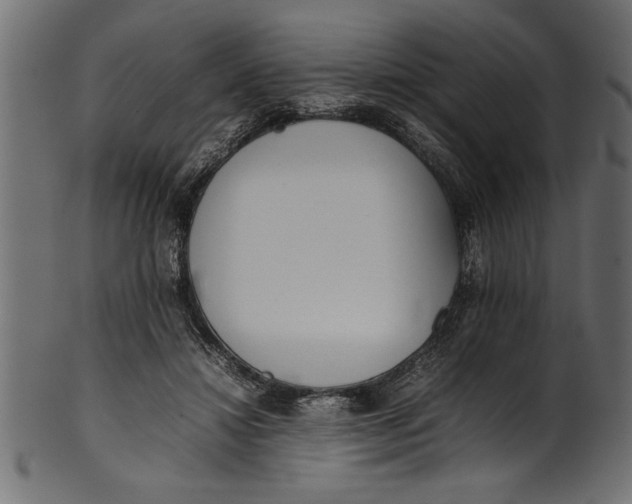 X0000101220452200807181555