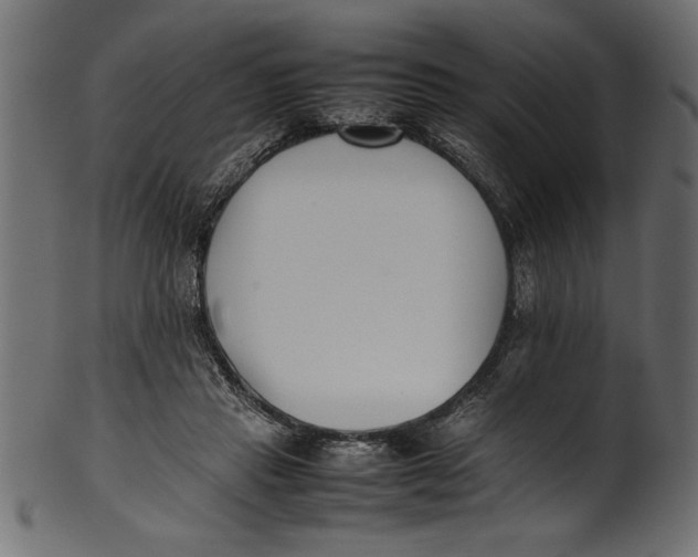 X0000101220453200807181555