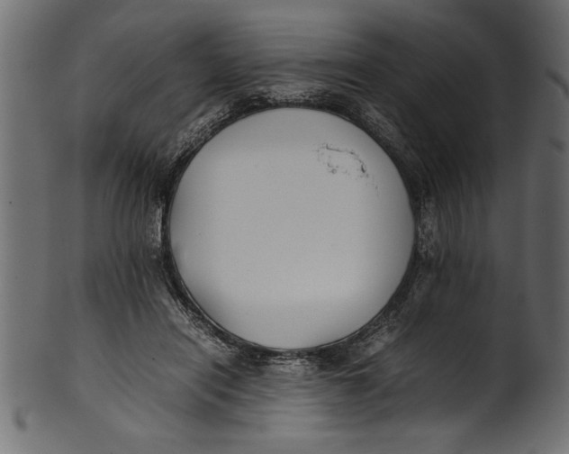 X0000101220454200807181555