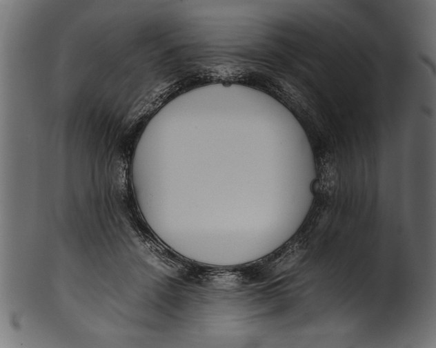X0000101220456200807181555
