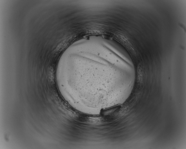 X0000101220457200807181555