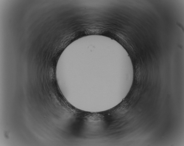 X0000101220459200807181555
