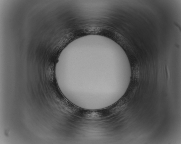 X0000101220460200807181555