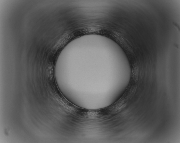 X0000101220462200807181555