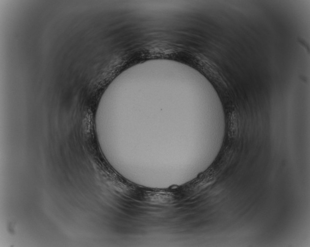 X0000101220463200807181555