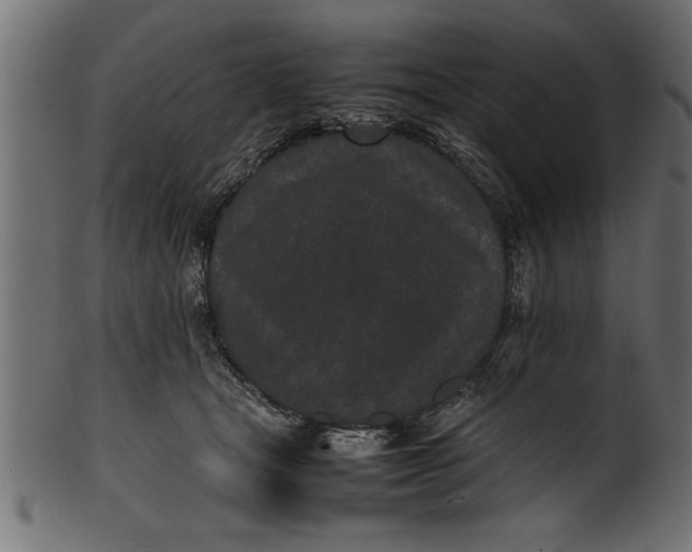 X0000101220465200807181556