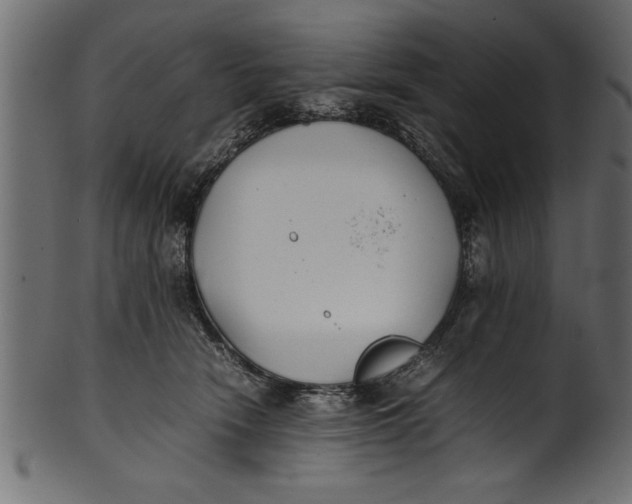 X0000101220466200807181556