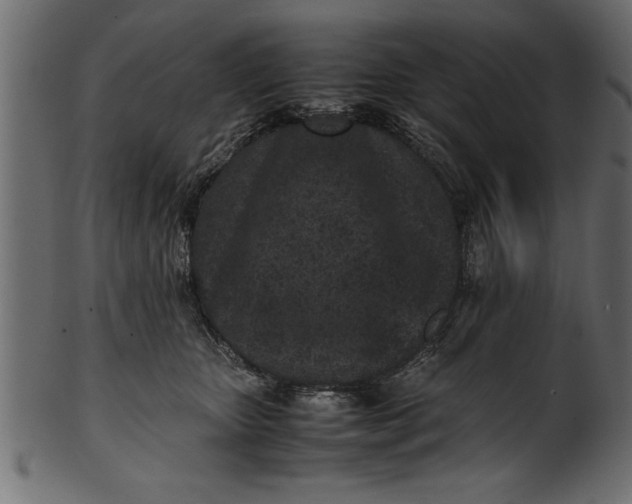 X0000101220467200807181556