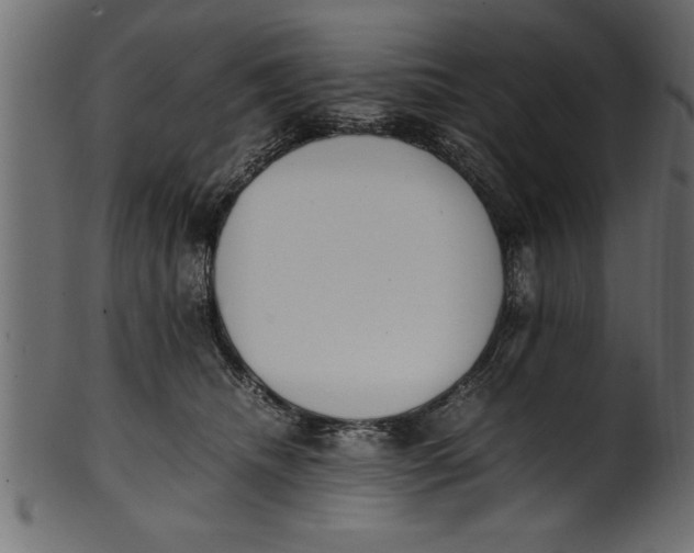 X0000101220468200807181556