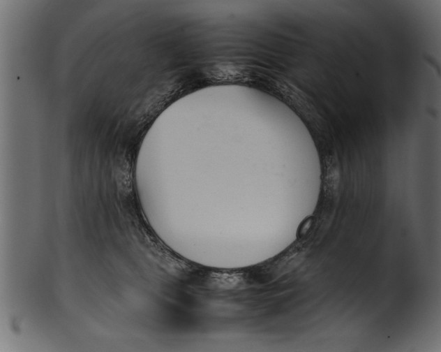 X0000101220469200807181556
