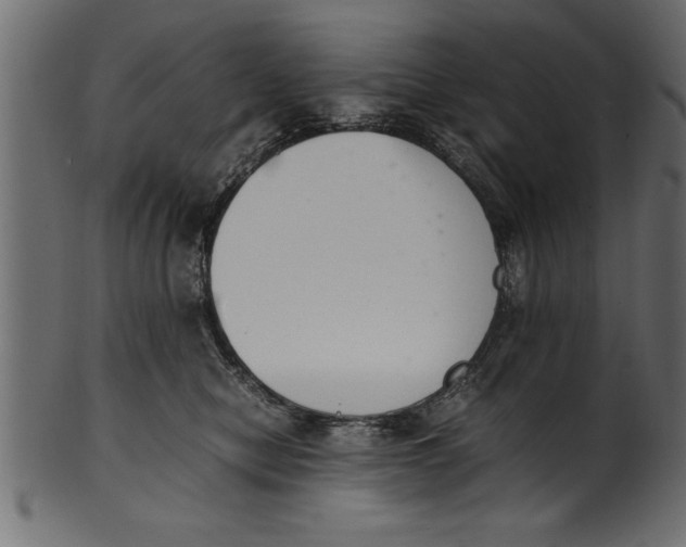 X0000101220470200807181556