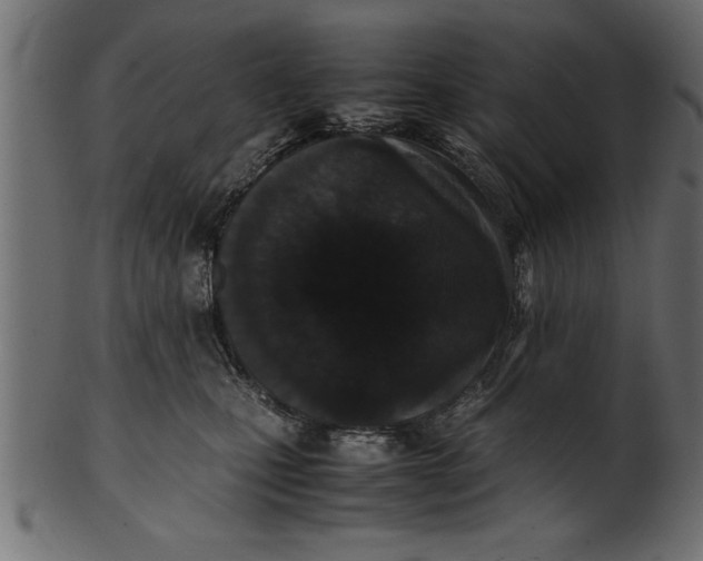 X0000101220471200807181556