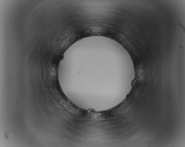 X0000101220472200807181556