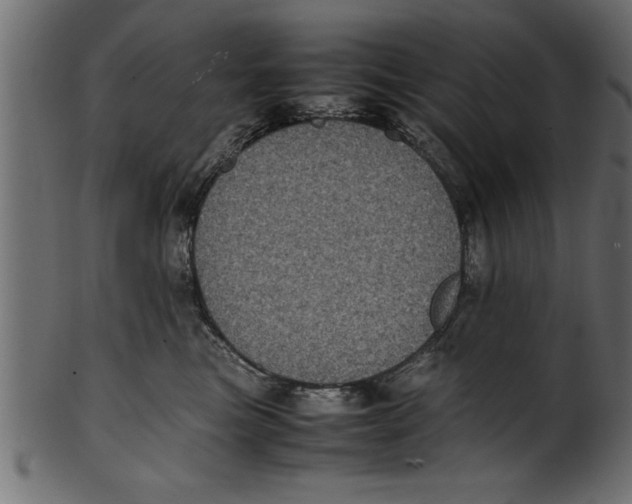 X0000101220473200807181556