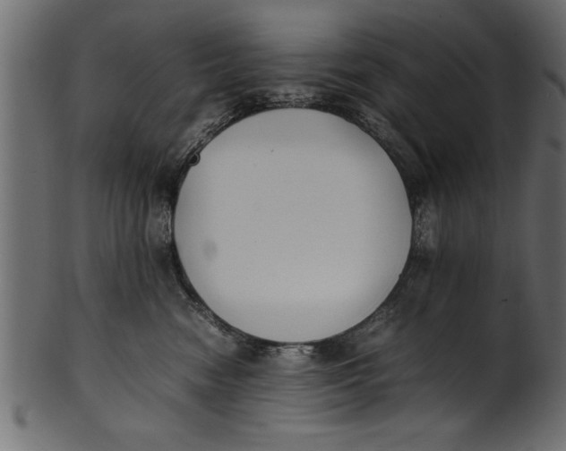 X0000101220474200807181556