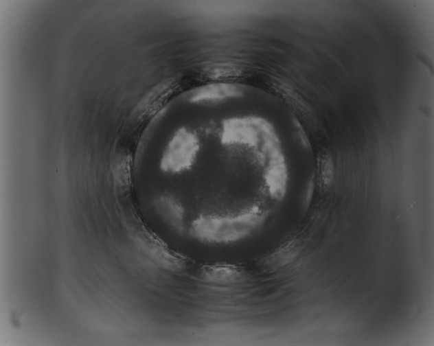 X0000101220475200807181556