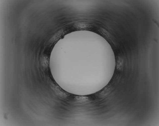X0000101220476200807181556
