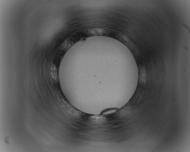 X0000101220477200807181556