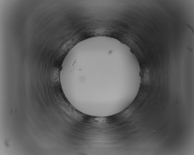 X0000101220478200807181556