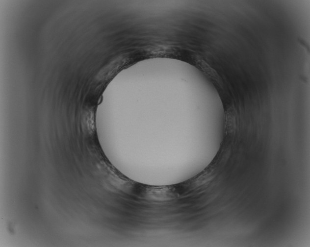 X0000101220479200807181556
