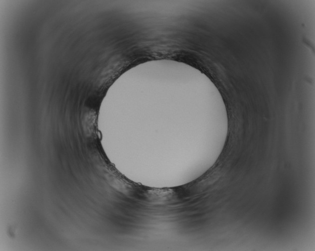 X0000101220480200807181556