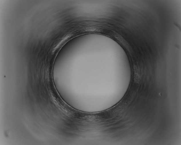 X0000101220482200807181555