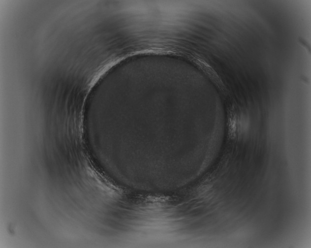 X0000101220484200807181555
