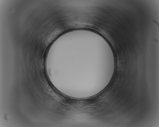 X0000101220485200807181555