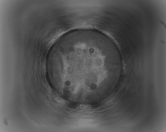 X0000101220487200807181555