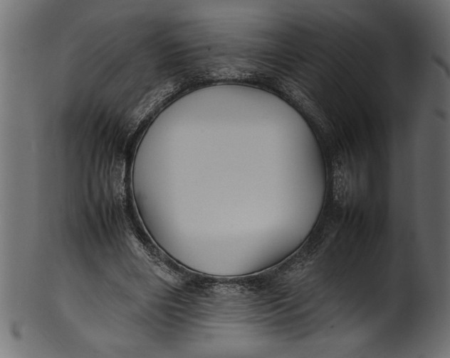 X0000101220490200807181555