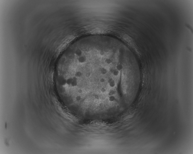X0000101220491200807181555