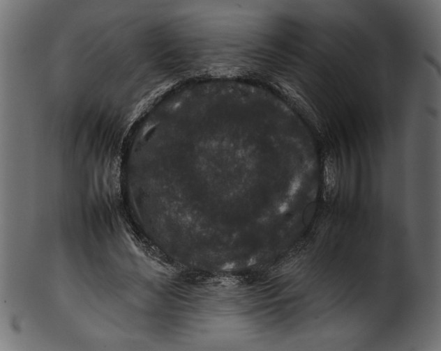 X0000101220492200807181555