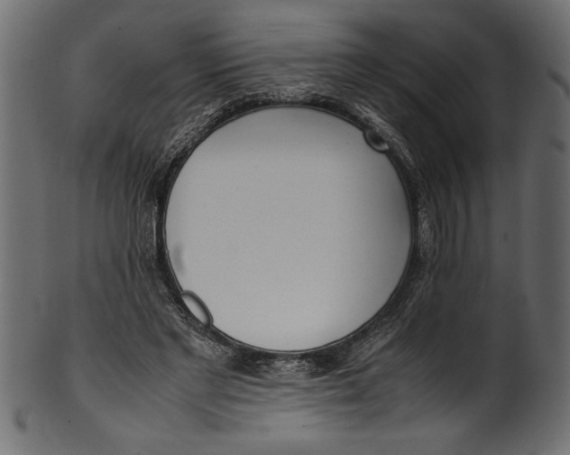 X0000101220493200807181555