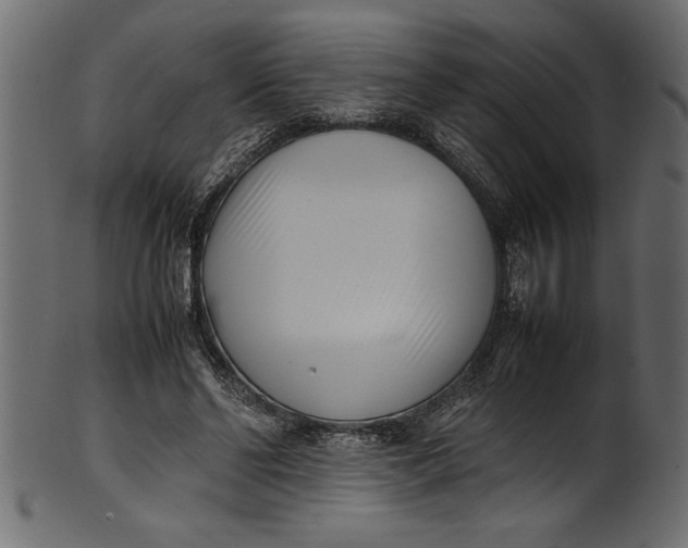 X0000101220494200807181555