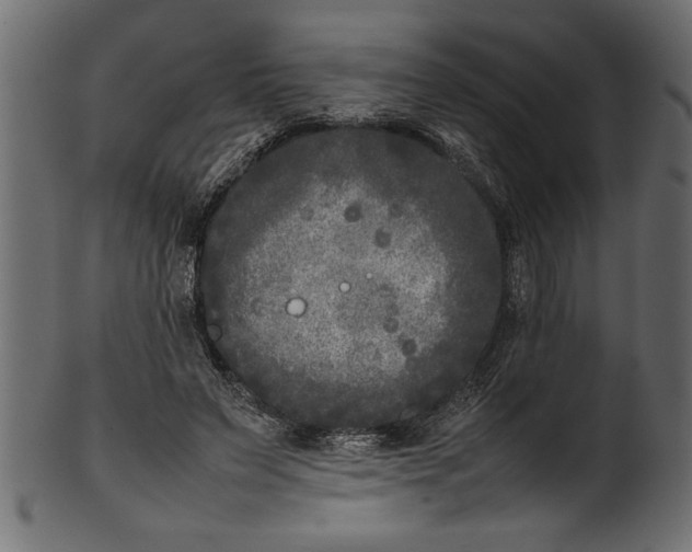 X0000101220495200807181555