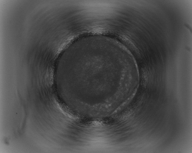 X0000101220496200807181555