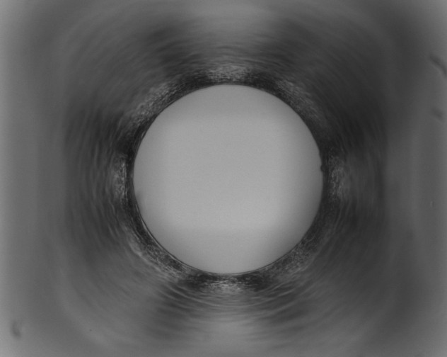 X0000101220498200807181555