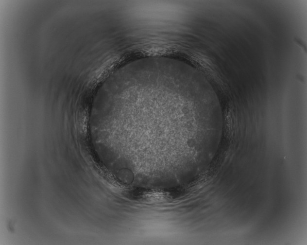 X0000101220499200807181555