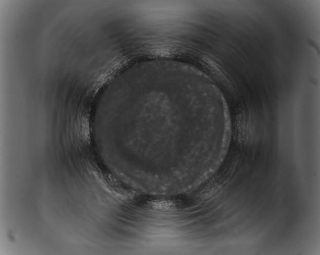 X0000101220500200807181555