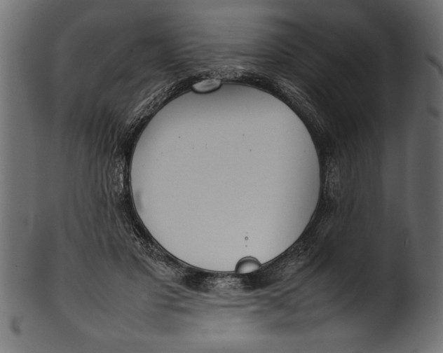 X0000101220501200807181555