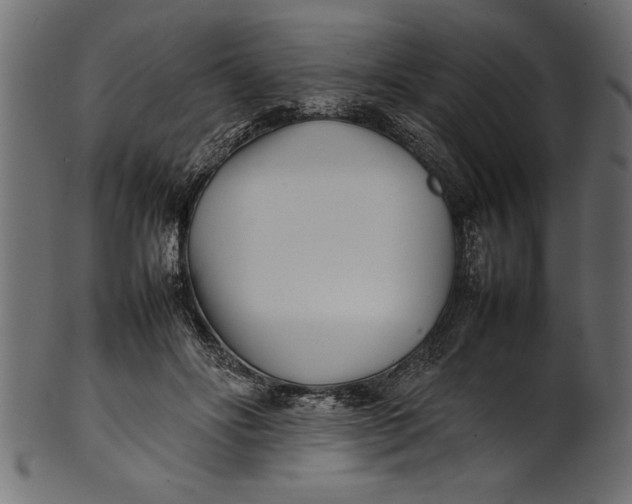 X0000101220502200807181555